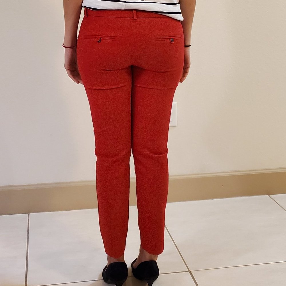 Zara Basic Collection - image 4